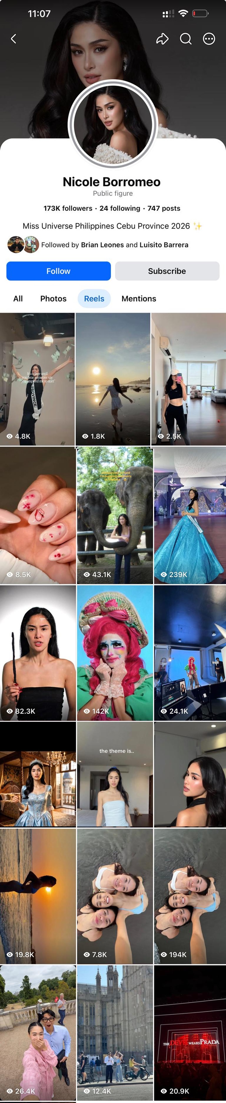 Screenshot of Nicole Borromeo's Facebook profile showing 173K followers and her Reels grid